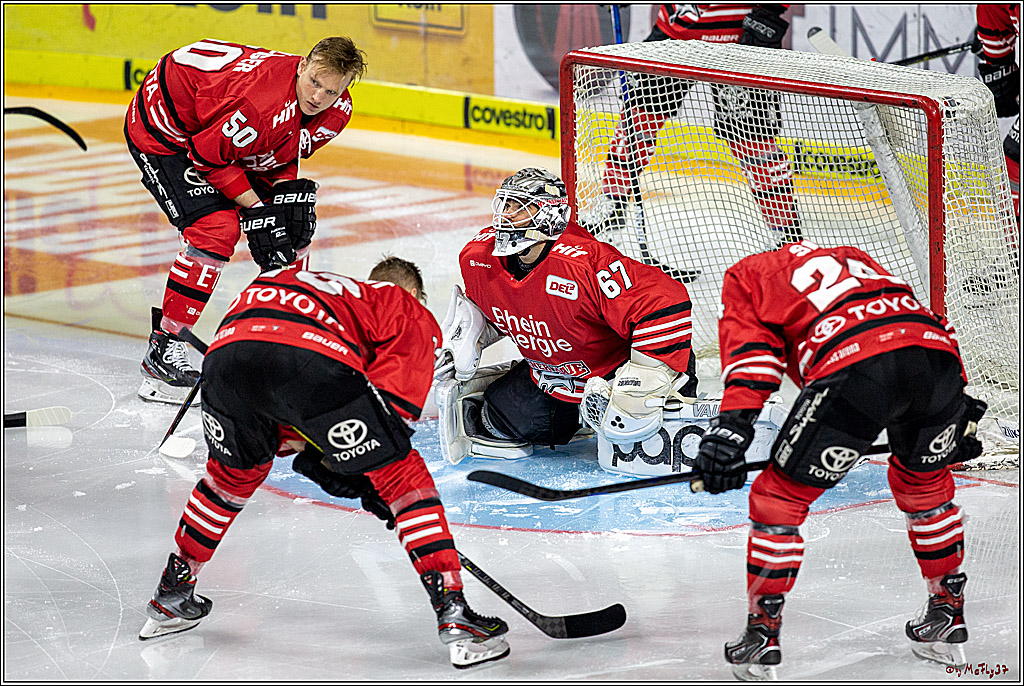 DEL; Koelner Haie - Straubing Tigers; Koeln, 17.11.2019